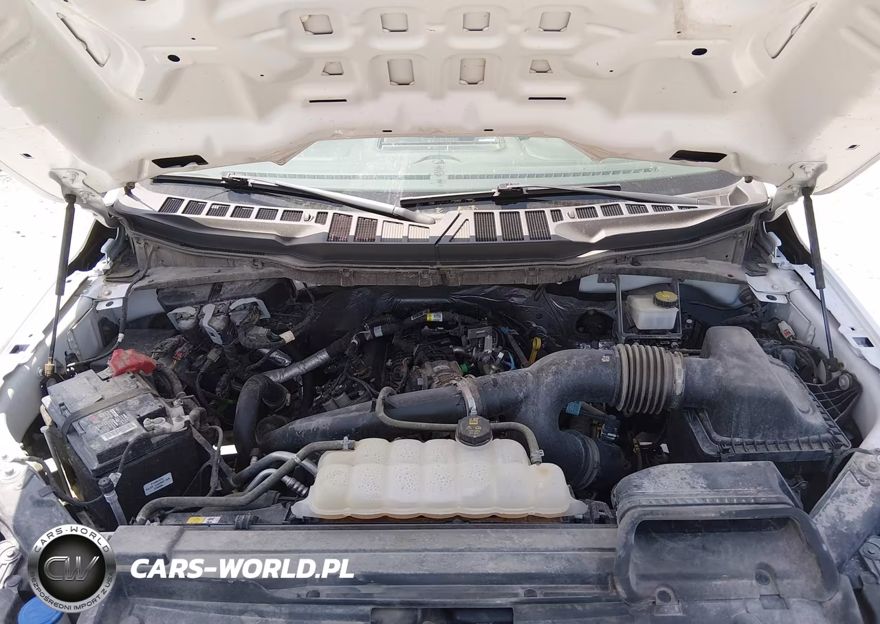 2023 Ford F-150 Xl VIN:1FTEW1EP4PKD18752 - 10