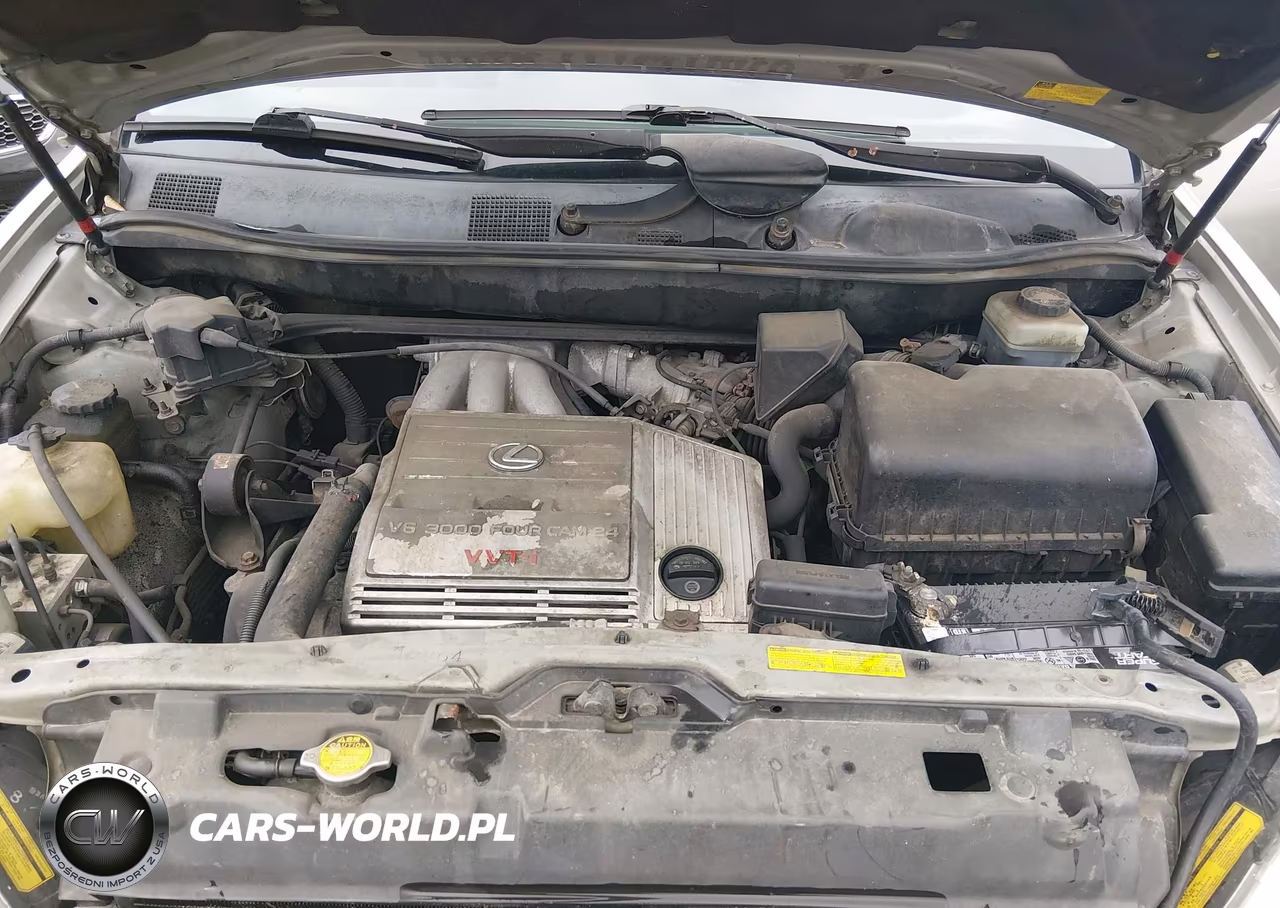 2001 Lexus Rx 300 VIN:JTJHF10U810166629 - 10