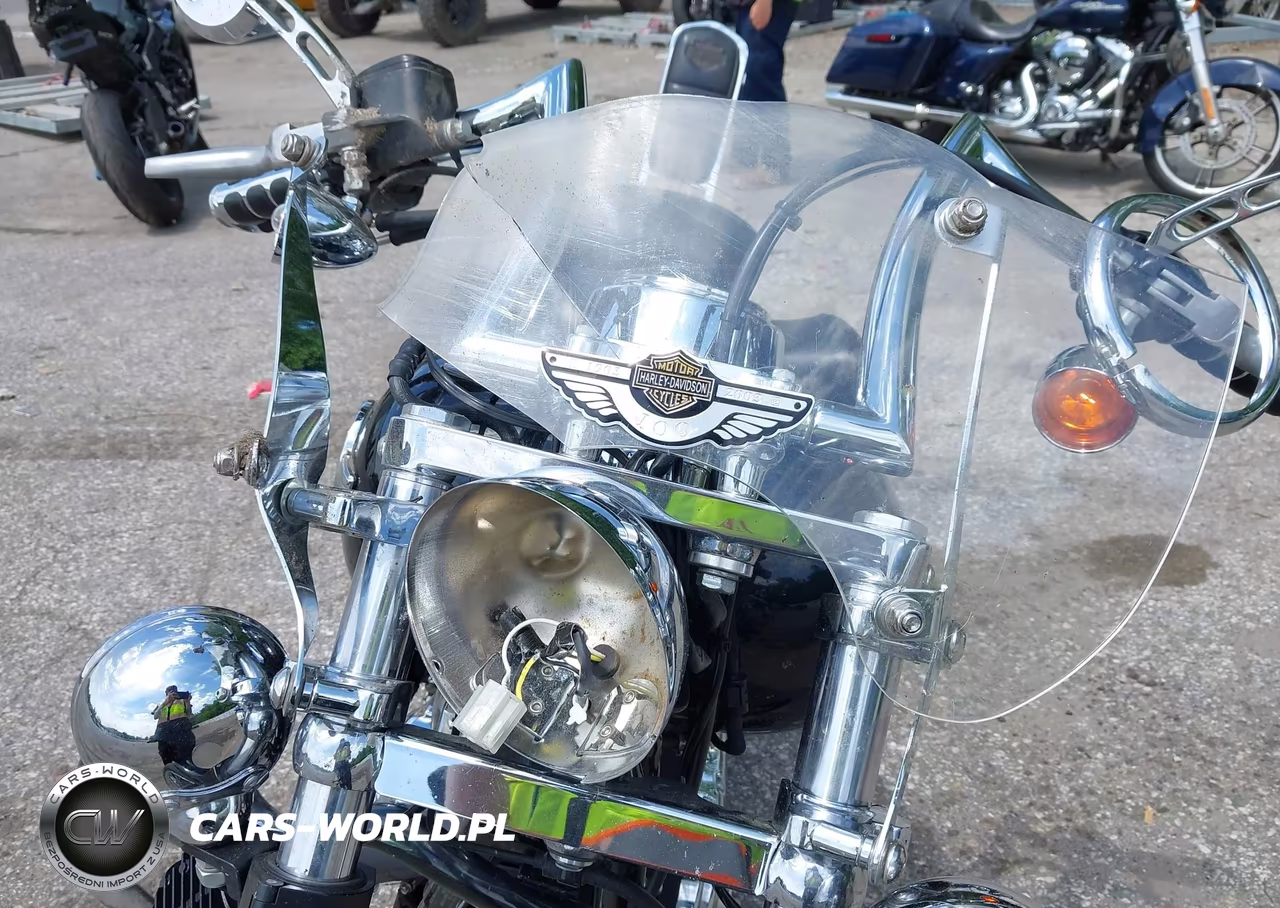 2005 Harley-Davidson Fxdwgi VIN:1HD1GPW1X5K331672 - 13