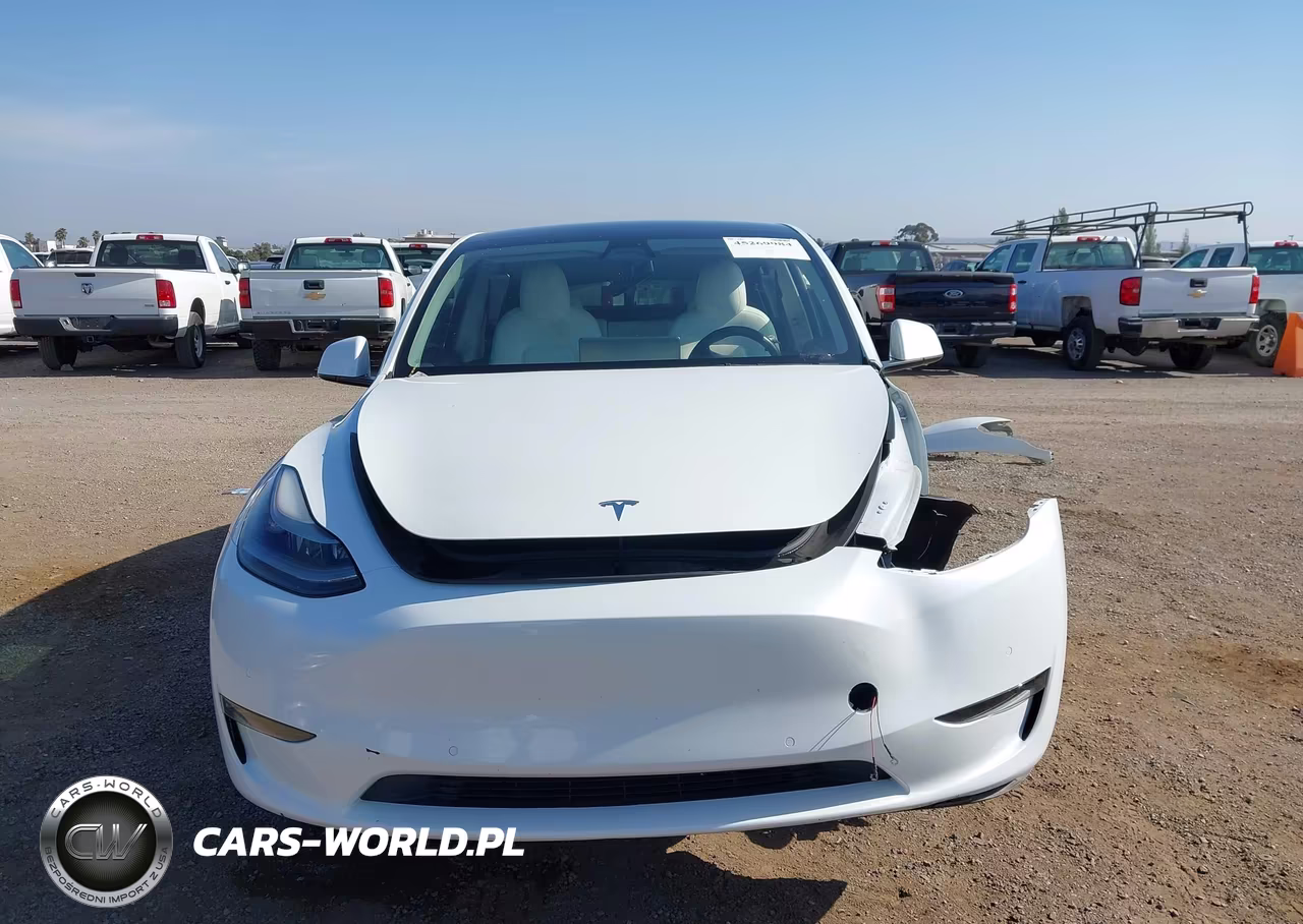 2022 Tesla Model Y Performance Dual Motor All-Wheel Drive VIN:7SAYGDEF2NF346369 - 12