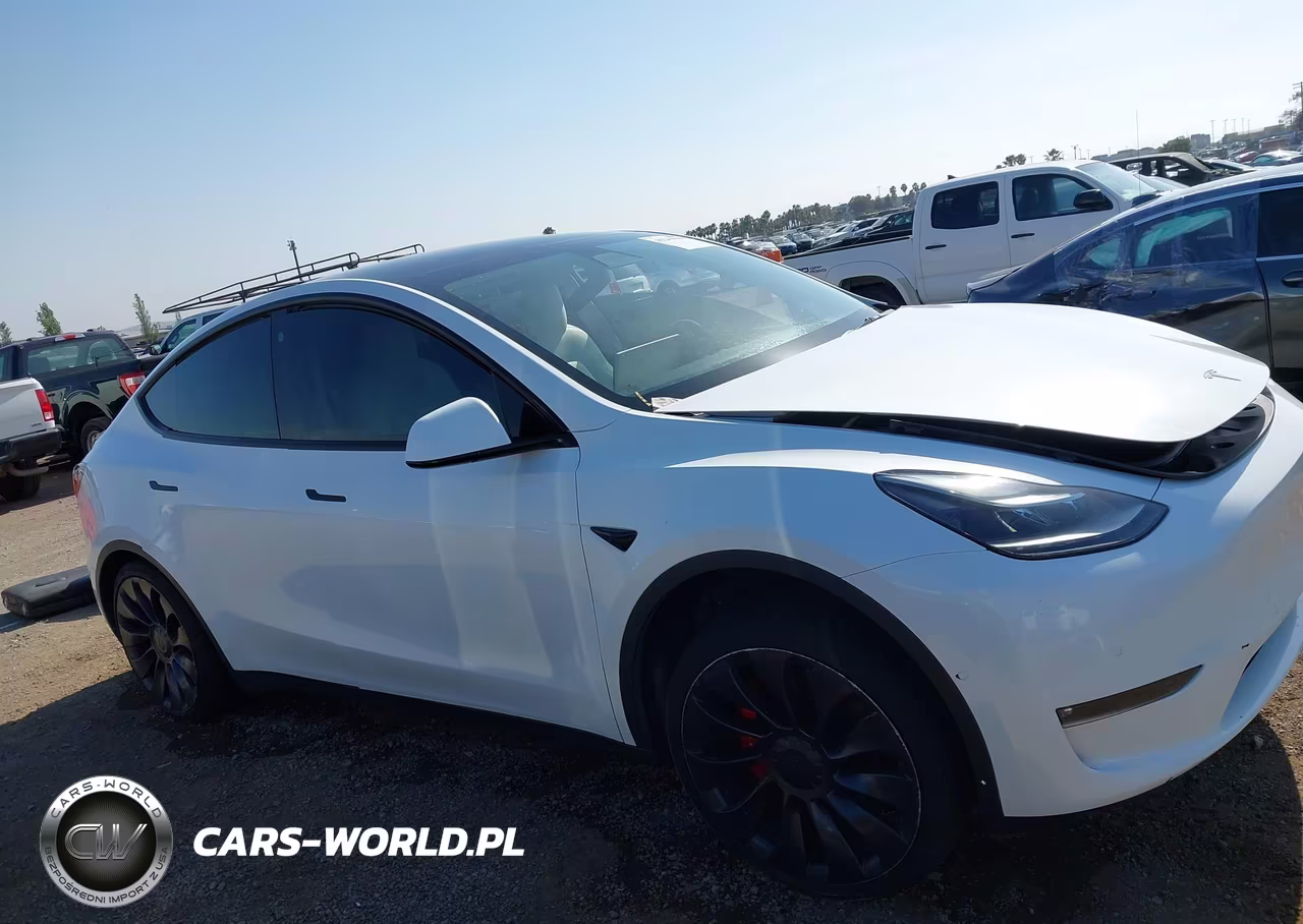 2022 Tesla Model Y Performance Dual Motor All-Wheel Drive VIN:7SAYGDEF2NF346369 - 13