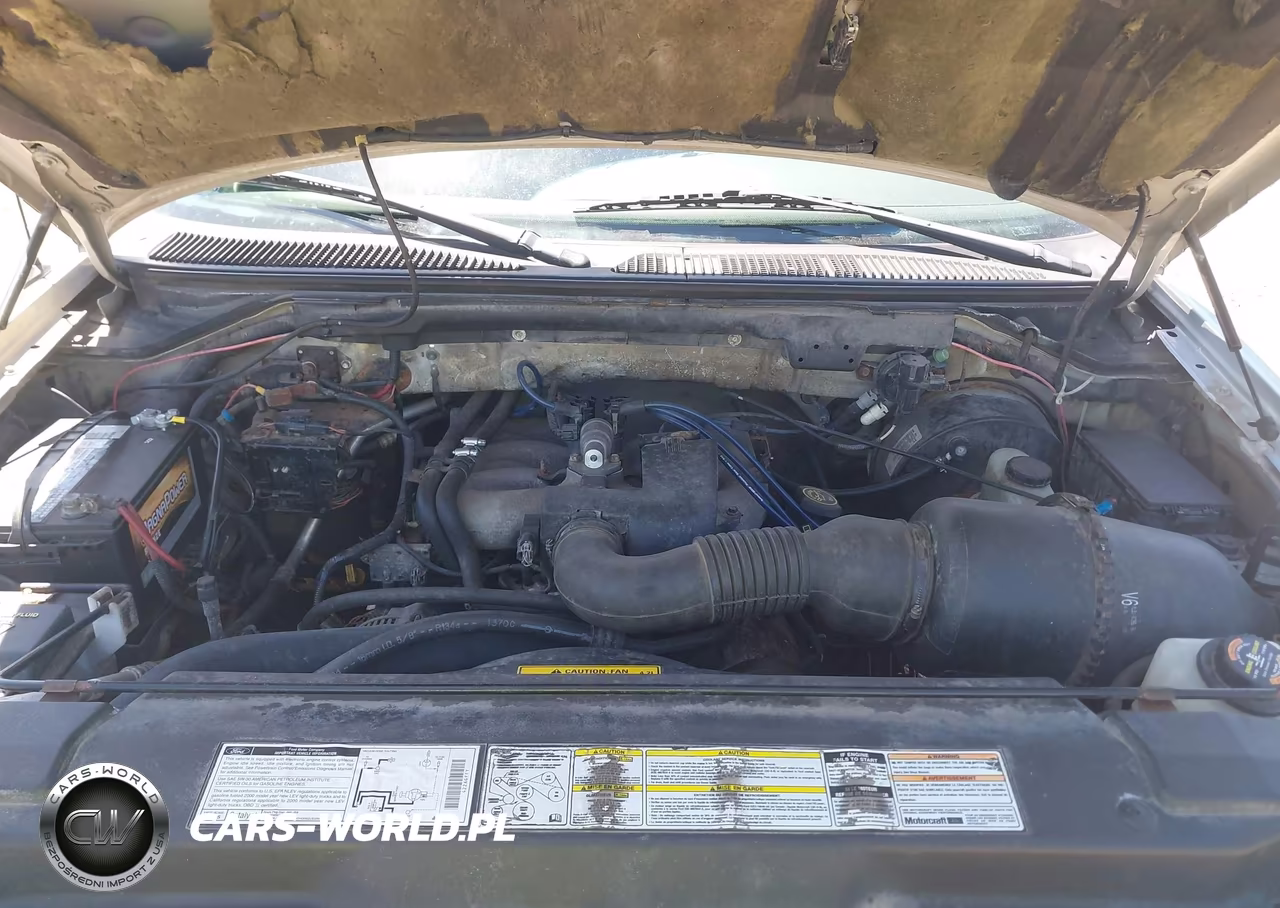 2000 Ford F-150 Work Series-Xl-Xlt VIN:1FTZF1721YNC18725 - 10