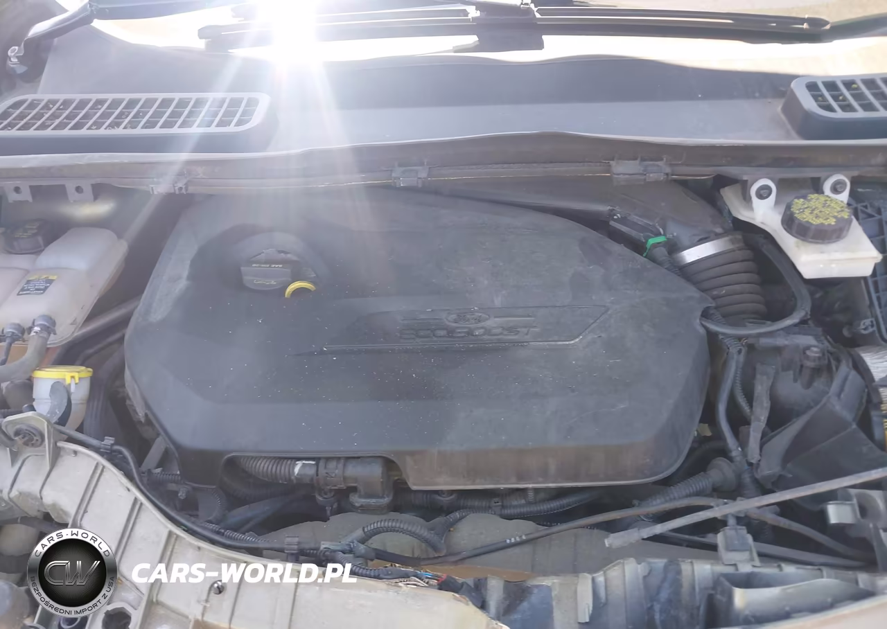 2013 Ford Escape Sel VIN:1FMCU0HX2DUD67415 - 10