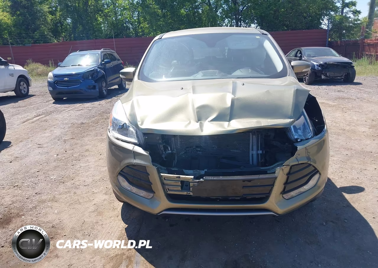 2013 Ford Escape Sel VIN:1FMCU0HX2DUD67415 - 12