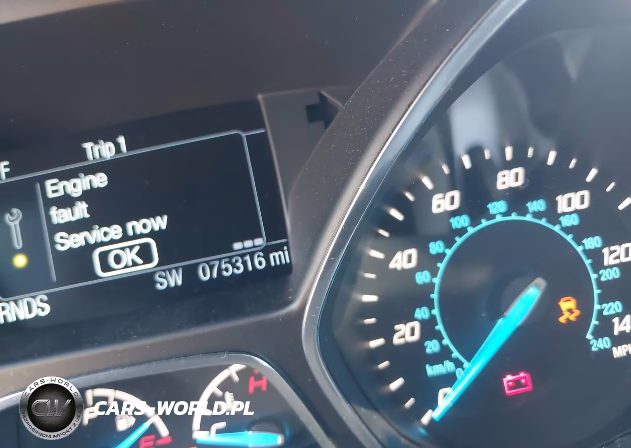2013 Ford Escape Sel VIN:1FMCU0HX2DUD67415 - 15