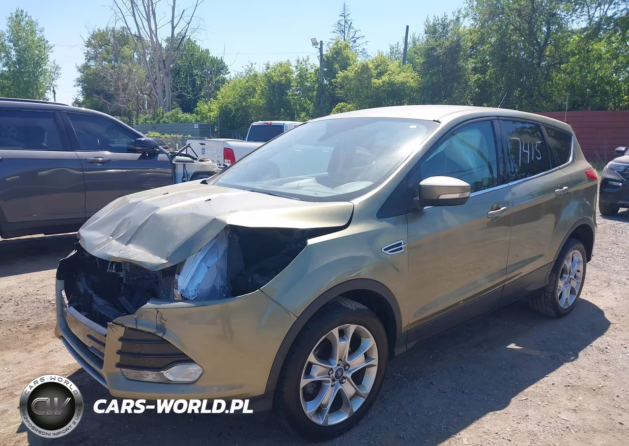 2013 Ford Escape Sel VIN:1FMCU0HX2DUD67415 - 2