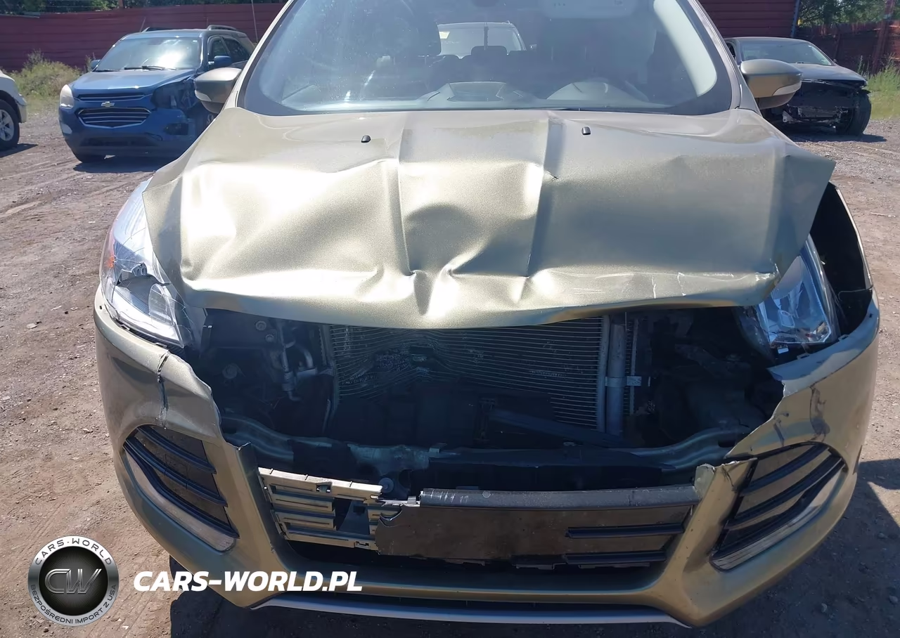2013 Ford Escape Sel VIN:1FMCU0HX2DUD67415 - 6