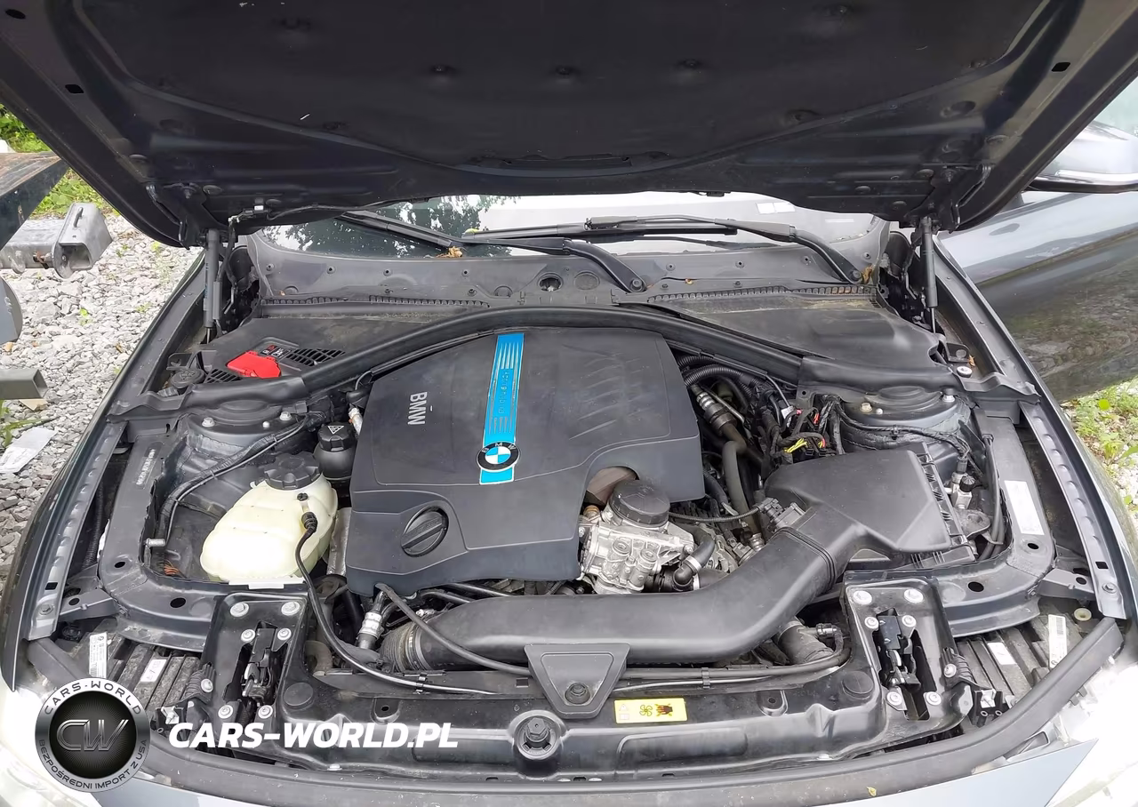 2013 BMW Activehybrid 3 VIN:WBA3F9C52DF145239 - 10