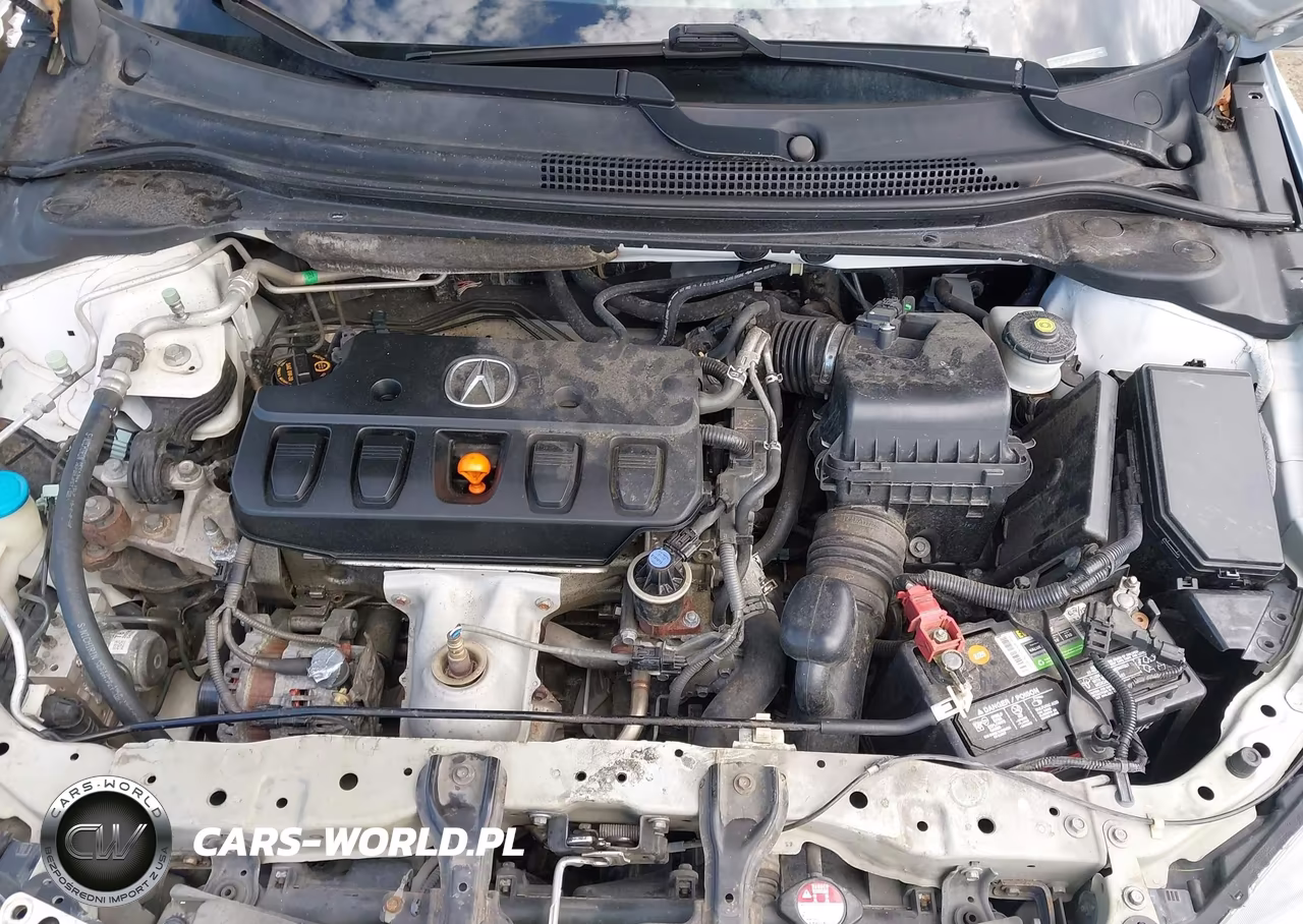 2013 Acura Ilx 2.0L VIN:19VDE1F39DE014057 - 10