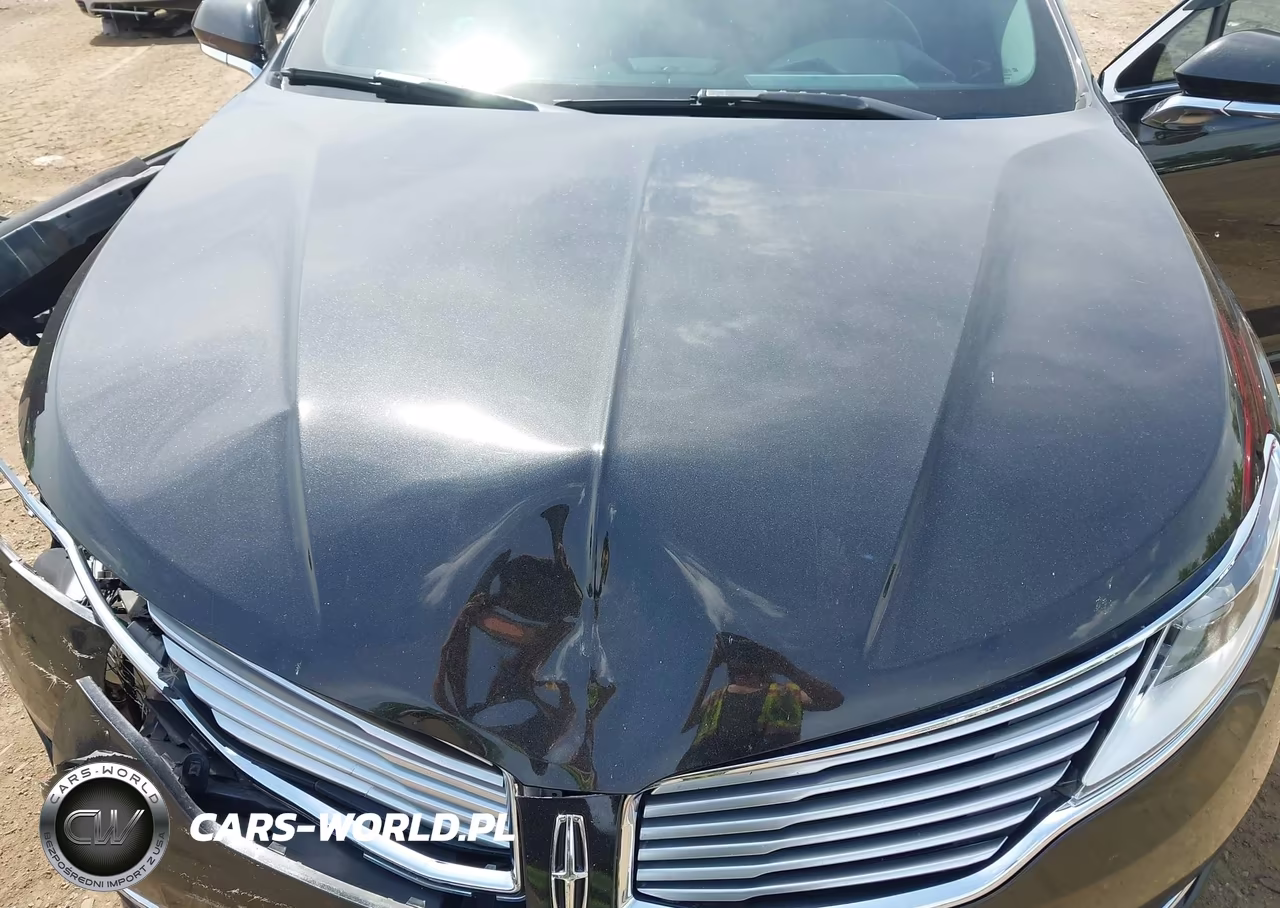2013 Lincoln Mkz VIN:3LN6L2G99DR805272 - 10