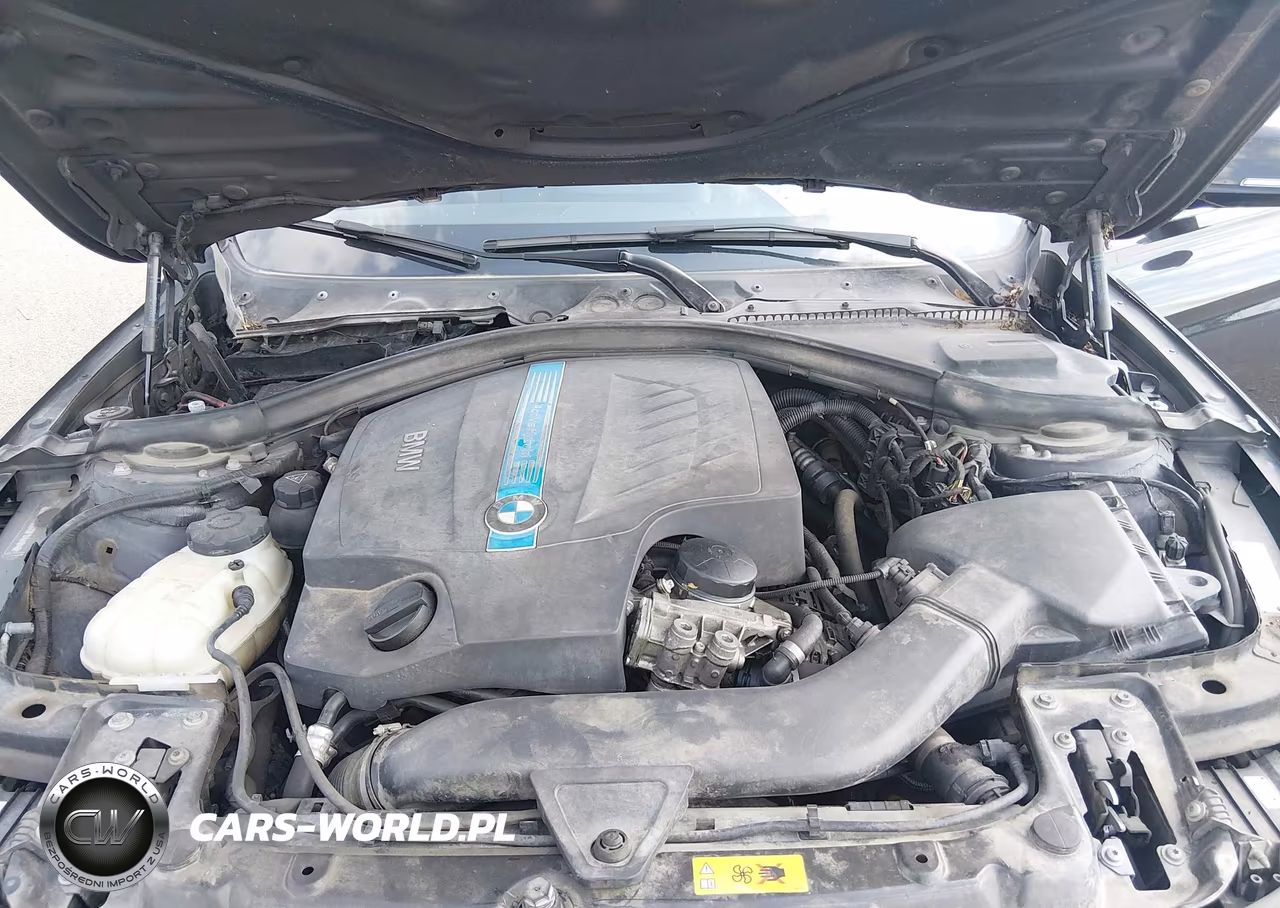2013 BMW Activehybrid 3 VIN:WBA3F9C57DF145494 - 10