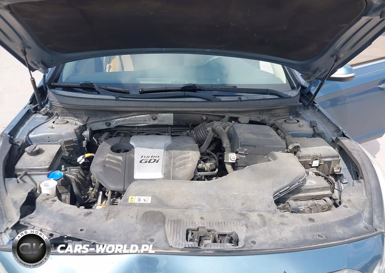 2015 Hyundai Sonata Eco VIN:5NPE24AA3FH113726 - 10