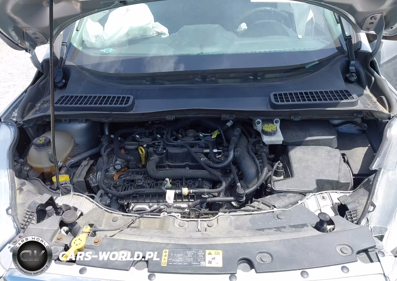2019 Ford Escape Se VIN:1FMCU0GD4KUA45489 - 10