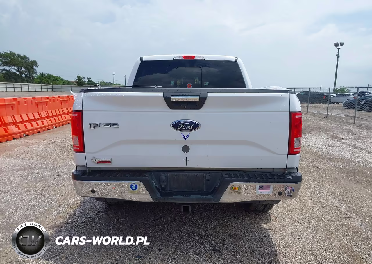 2016 Ford F-150 Xlt VIN:1FTEW1CG5GKF46598 - 17