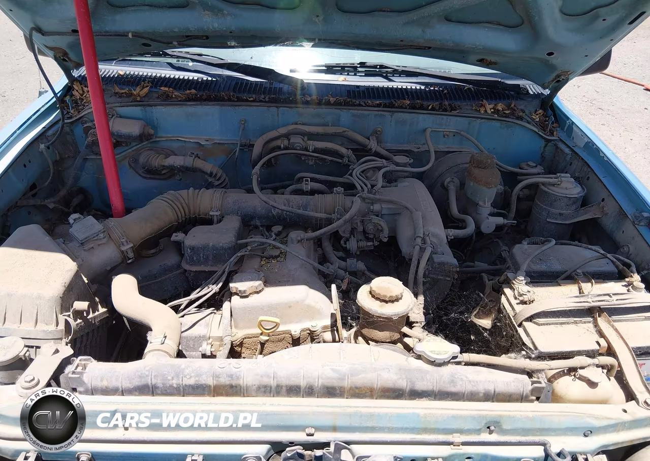 1996 Toyota Tacoma VIN:4TANL42N8TZ202917 - 10