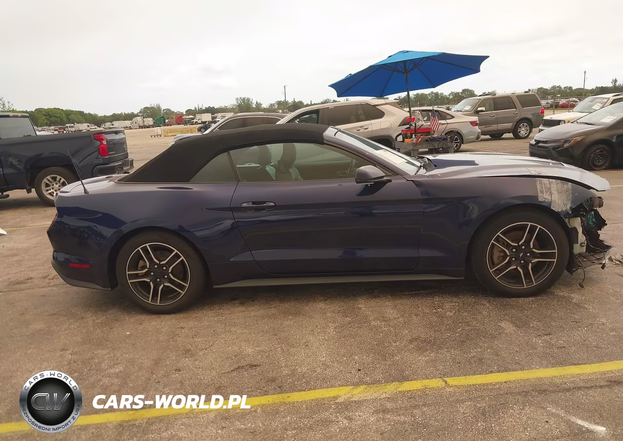 2020 Ford Mustang Ecoboost Premium VIN:1FATP8UH0L5111975 - 13