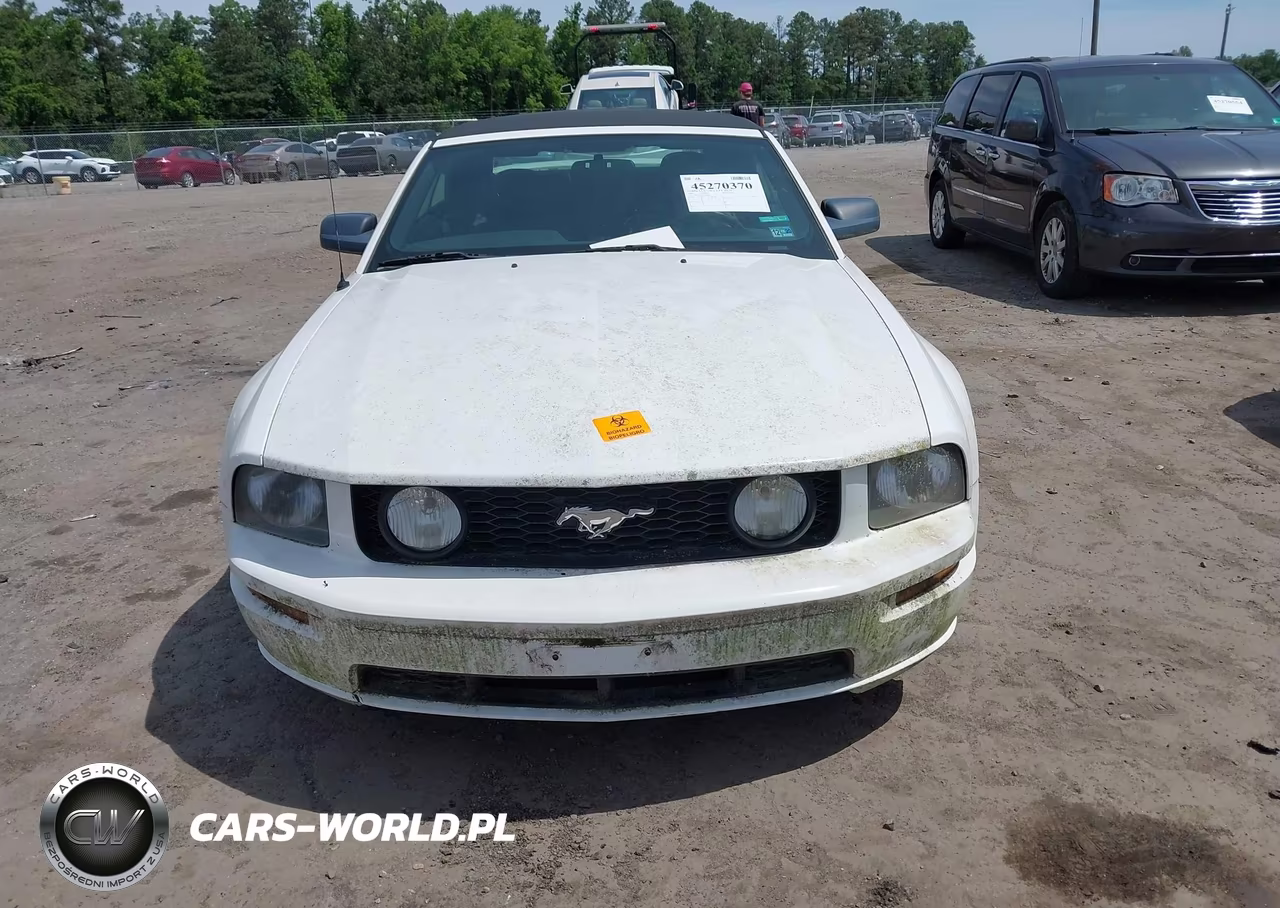 2006 Ford Mustang Gt VIN:1ZVHT85H065218861 - 12