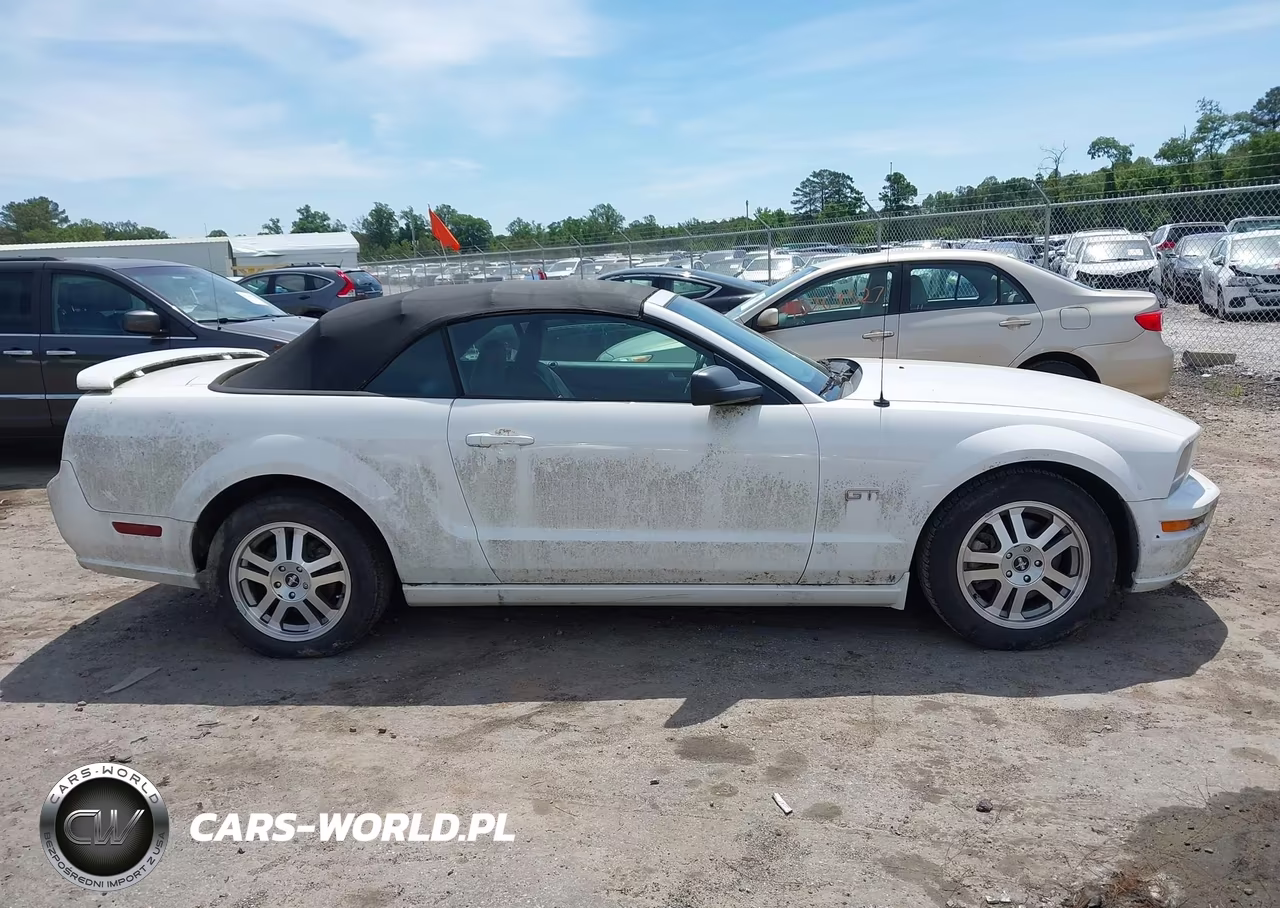 2006 Ford Mustang Gt VIN:1ZVHT85H065218861 - 13