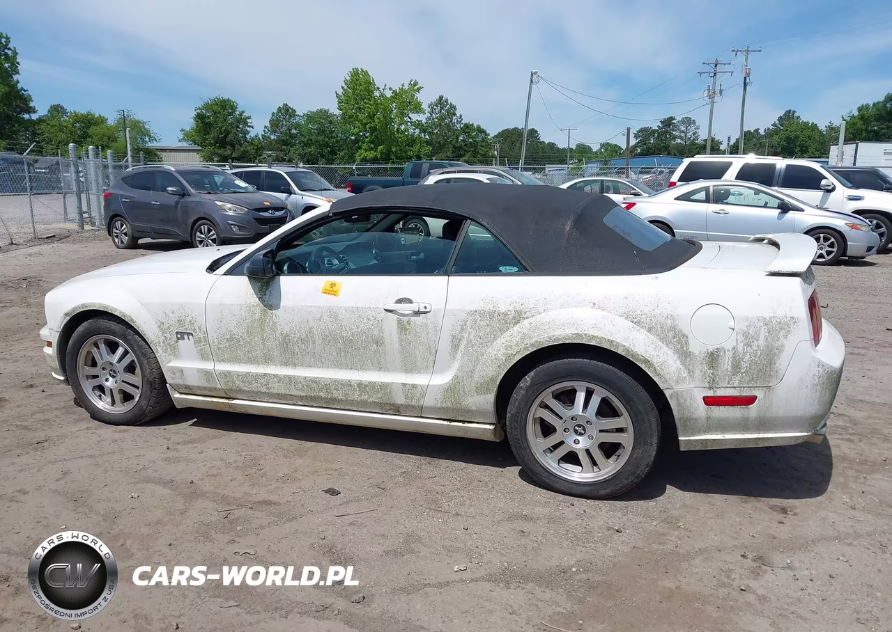 2006 Ford Mustang Gt VIN:1ZVHT85H065218861 - 14