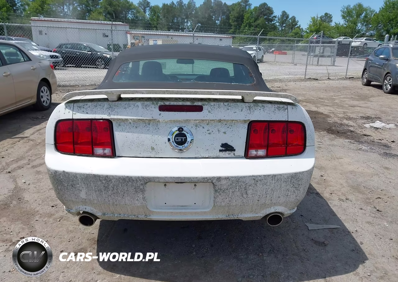 2006 Ford Mustang Gt VIN:1ZVHT85H065218861 - 16