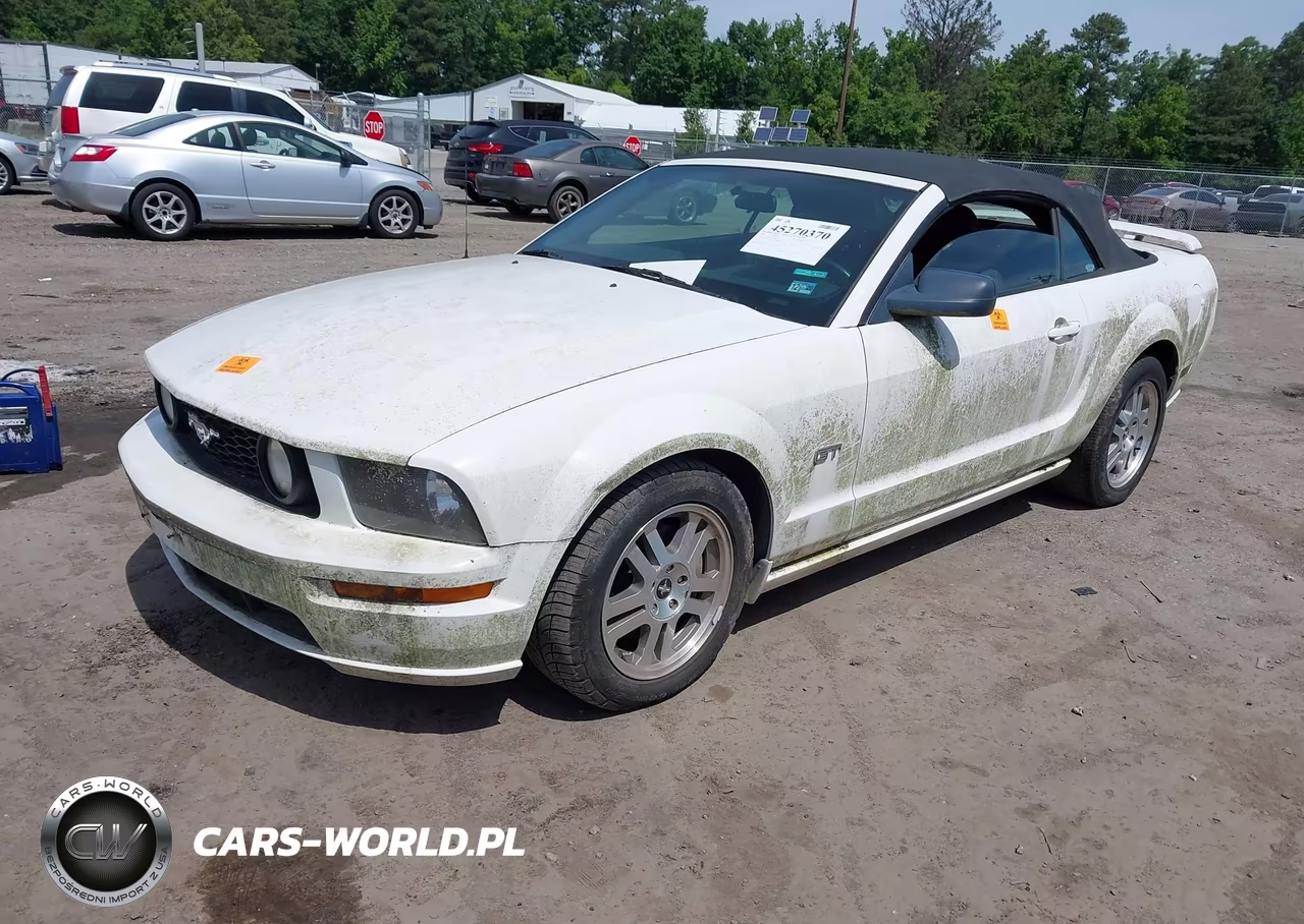 2006 Ford Mustang Gt VIN:1ZVHT85H065218861 - 2