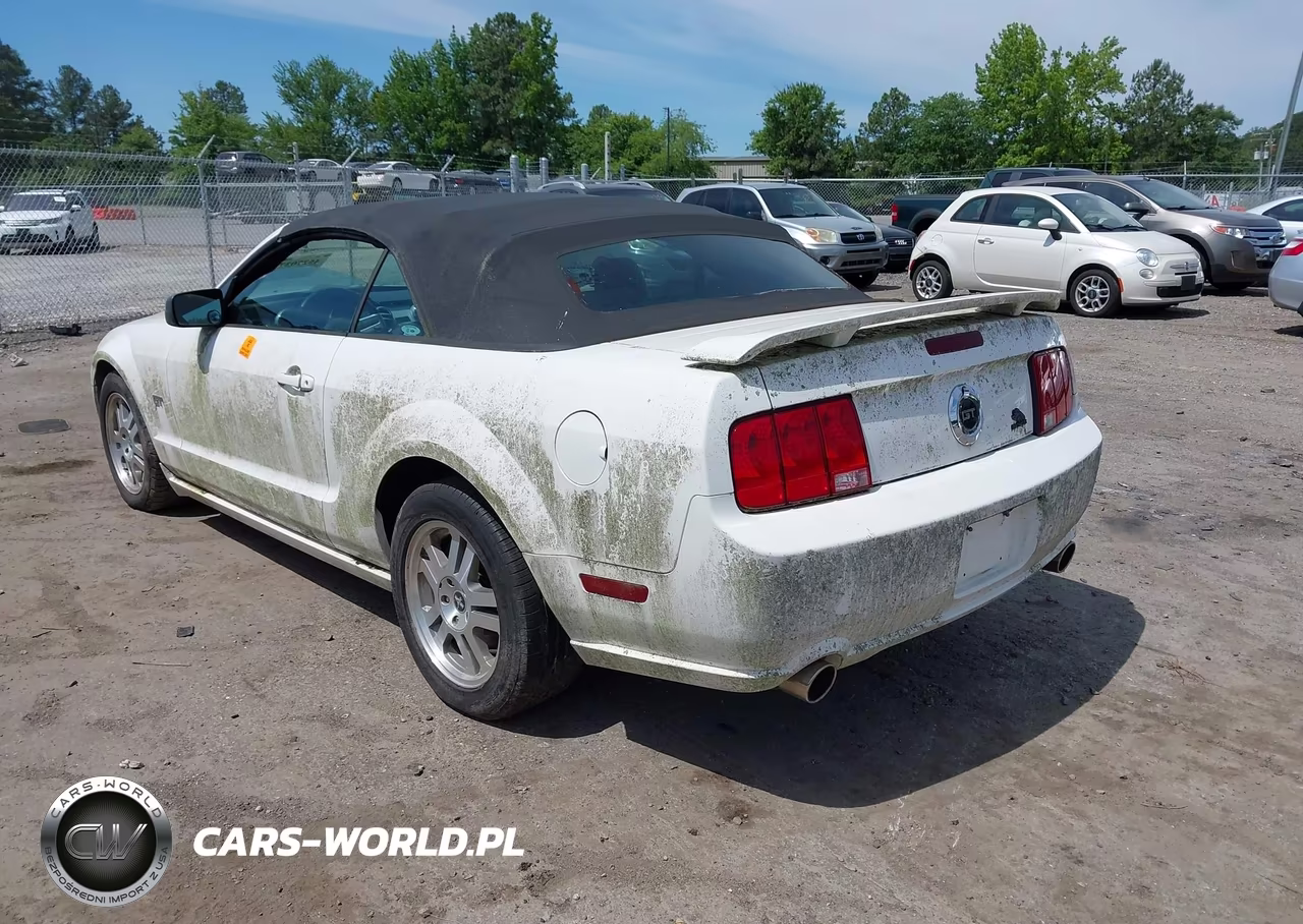 2006 Ford Mustang Gt VIN:1ZVHT85H065218861 - 3