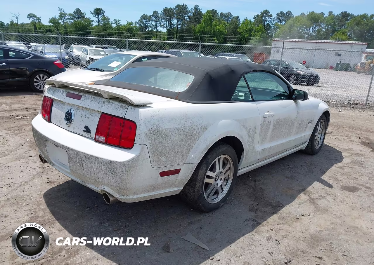 2006 Ford Mustang Gt VIN:1ZVHT85H065218861 - 4