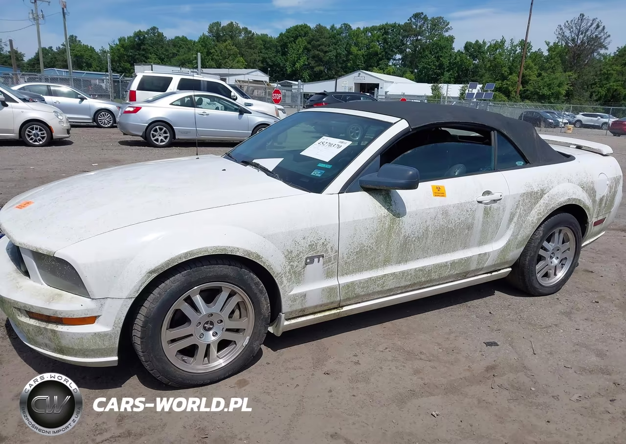 2006 Ford Mustang Gt VIN:1ZVHT85H065218861 - 6