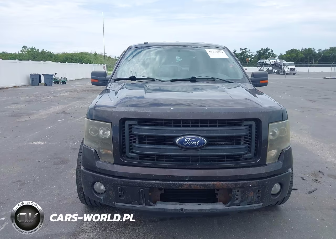 2013 Ford F-150 Xlt VIN:1FTFW1CT7DFA02058 - 12