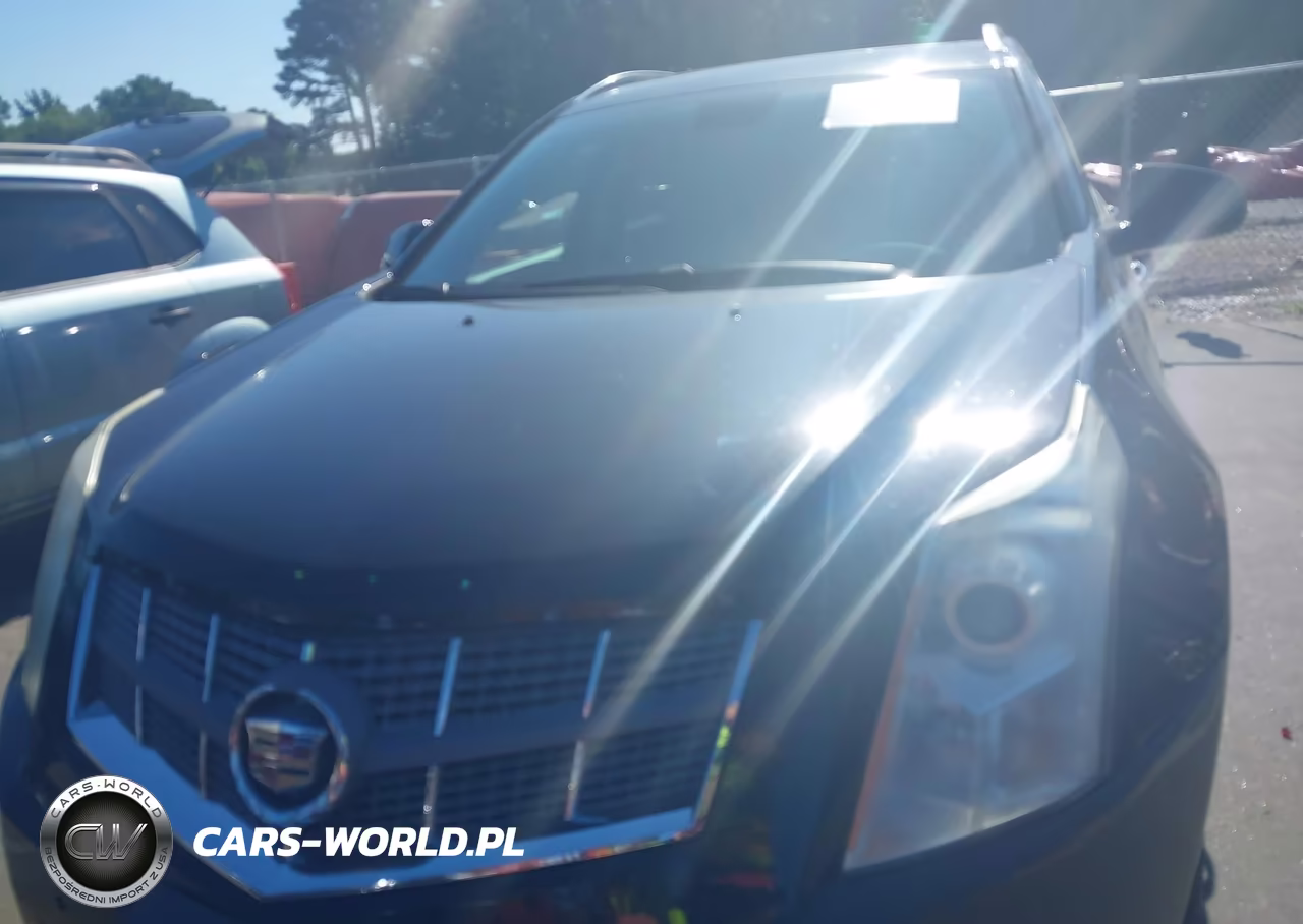 2010 Cadillac Srx Luxury Collection VIN:3GYFNAEYXAS597923 - 6