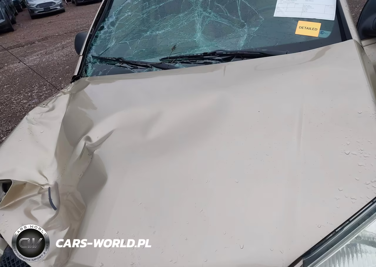 2005 Chevrolet Equinox Lt VIN:2CNDL63F256070007 - 10