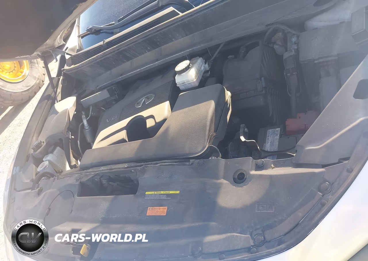 2019 Infiniti Qx60 Pure VIN:5N1DL0MM3KC566933 - 10