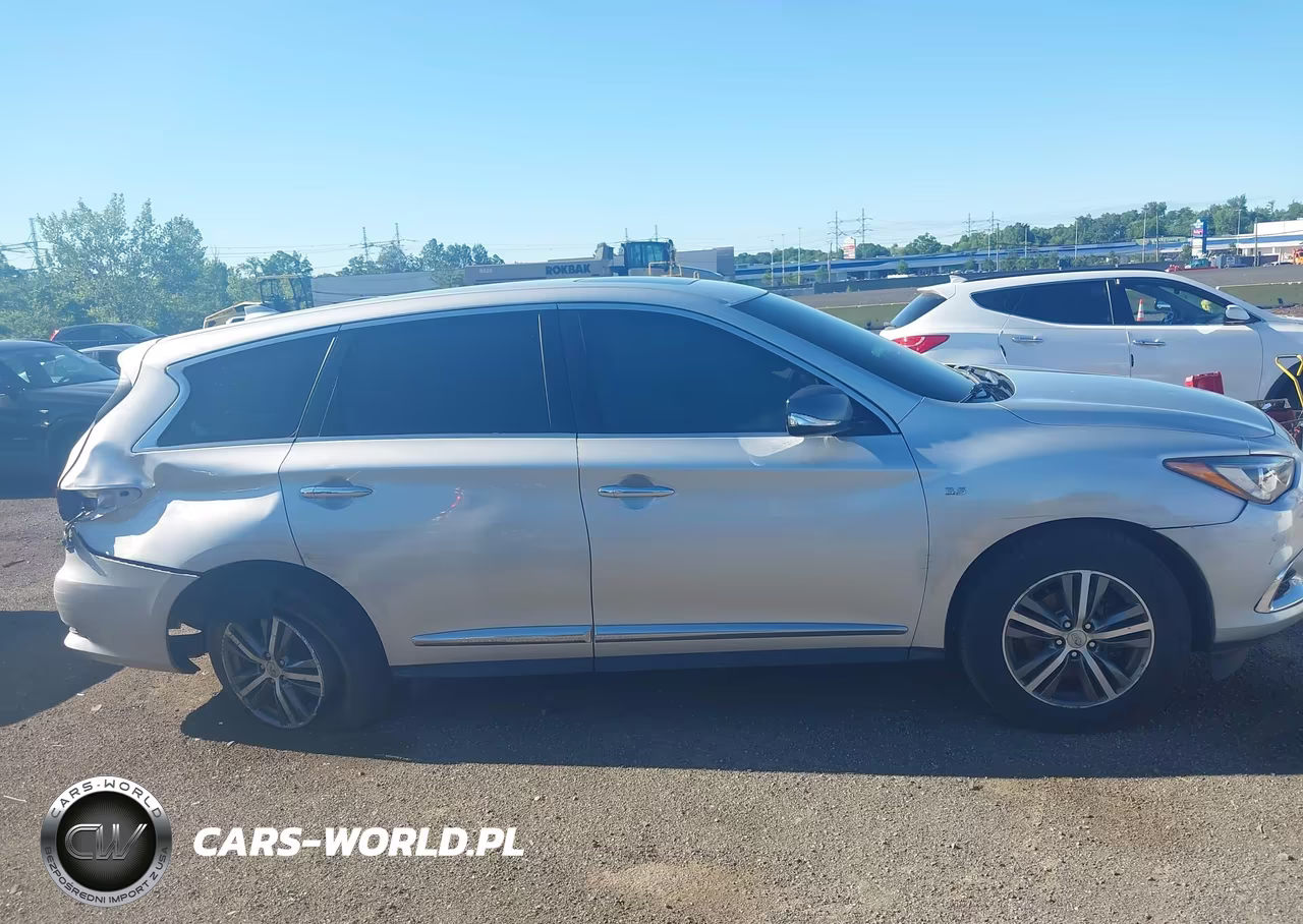 2019 Infiniti Qx60 Pure VIN:5N1DL0MM3KC566933 - 13