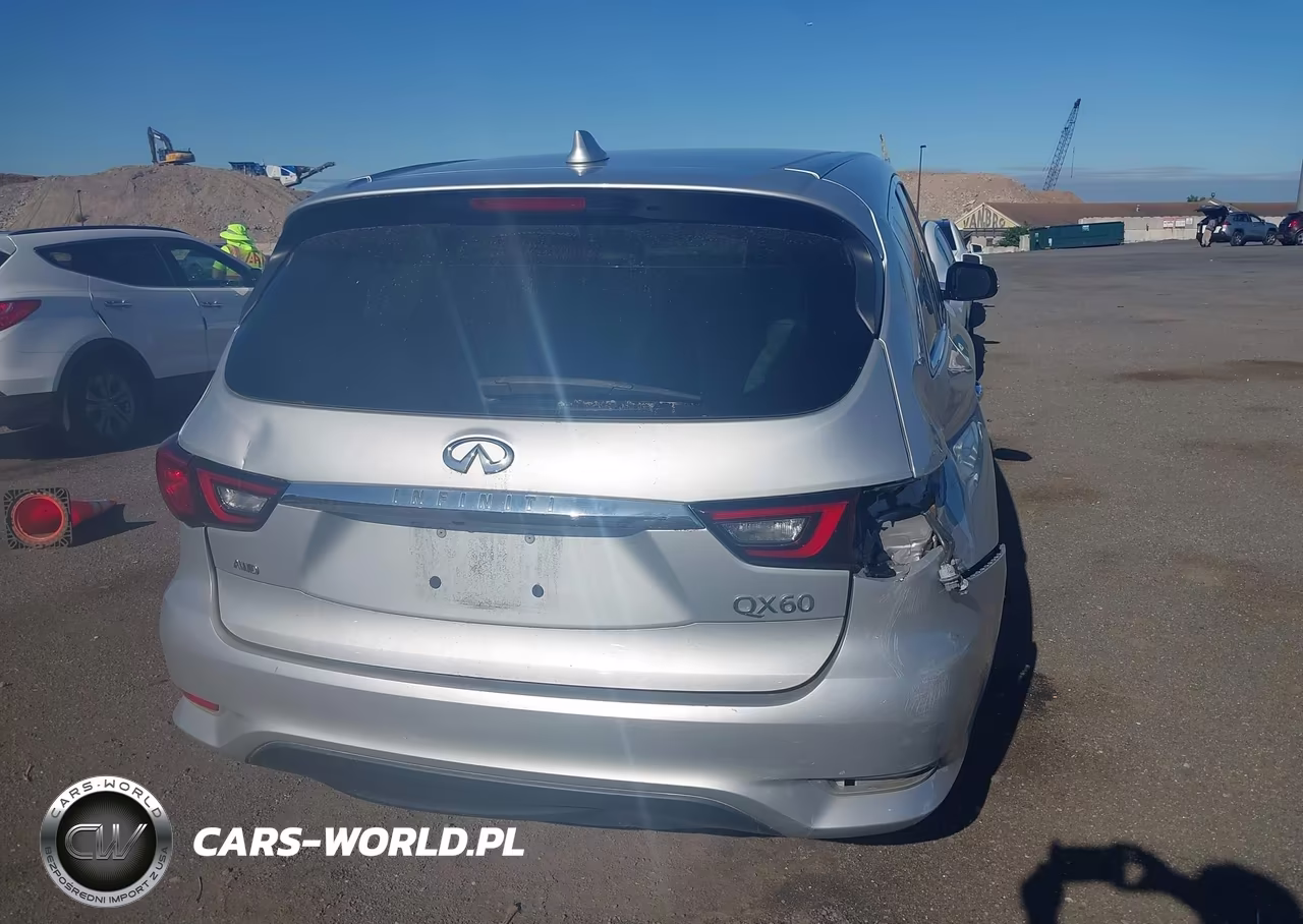 2019 Infiniti Qx60 Pure VIN:5N1DL0MM3KC566933 - 16