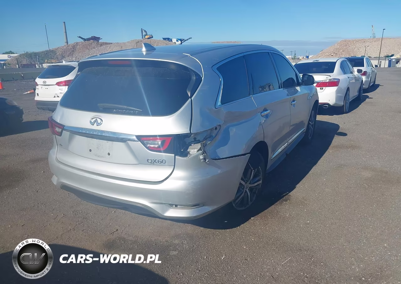 2019 Infiniti Qx60 Pure VIN:5N1DL0MM3KC566933 - 4
