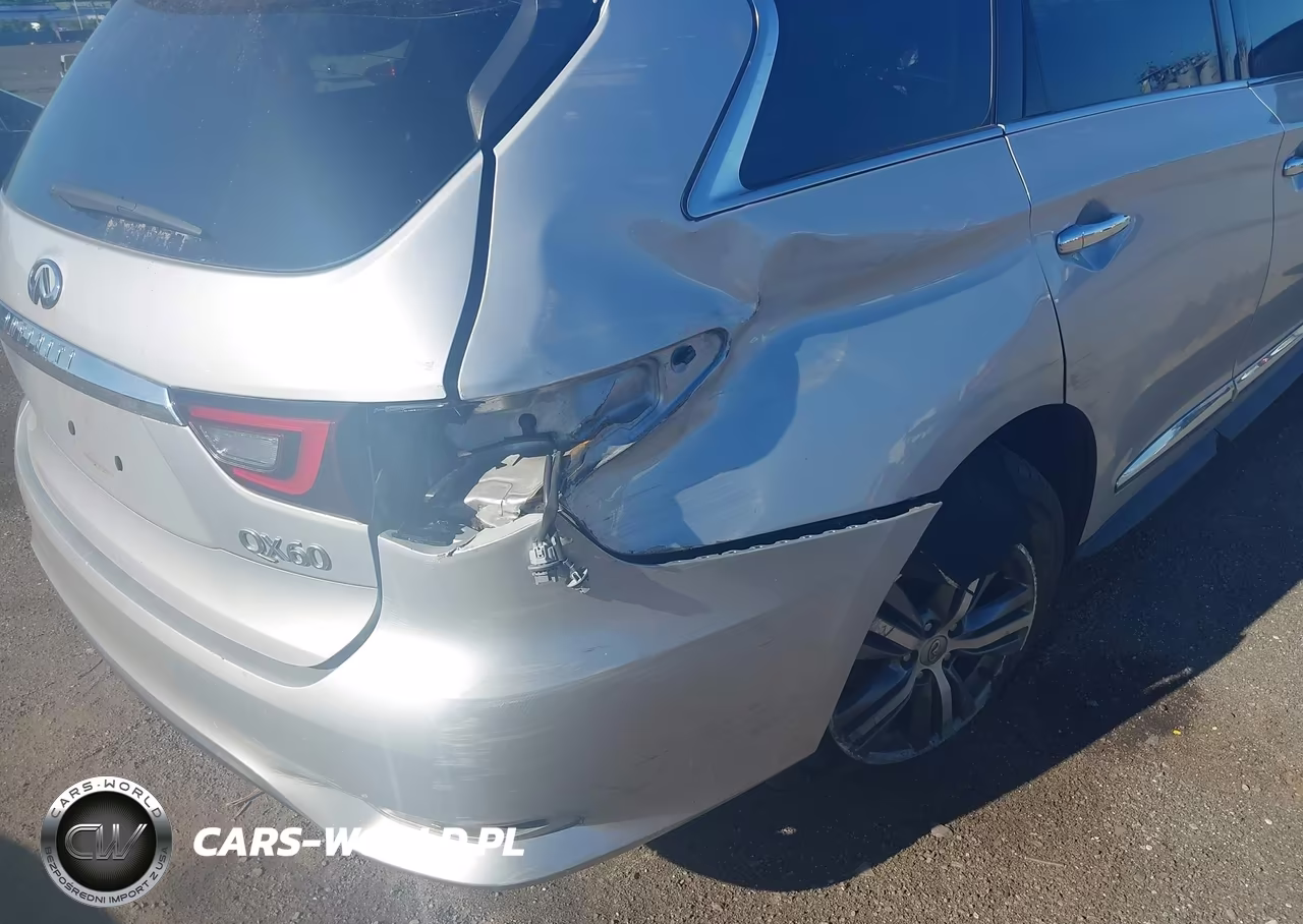 2019 Infiniti Qx60 Pure VIN:5N1DL0MM3KC566933 - 6