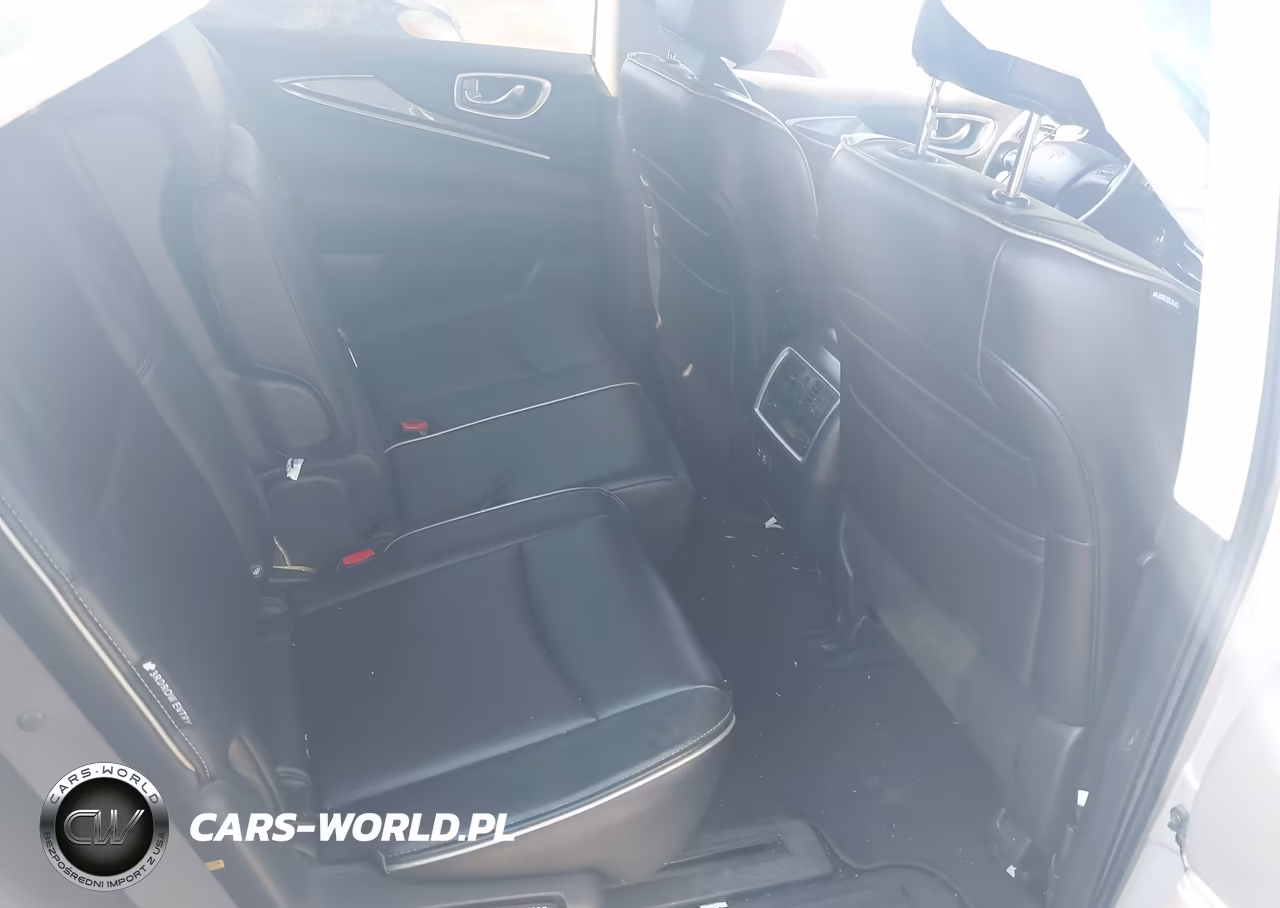 2019 Infiniti Qx60 Pure VIN:5N1DL0MM3KC566933 - 8