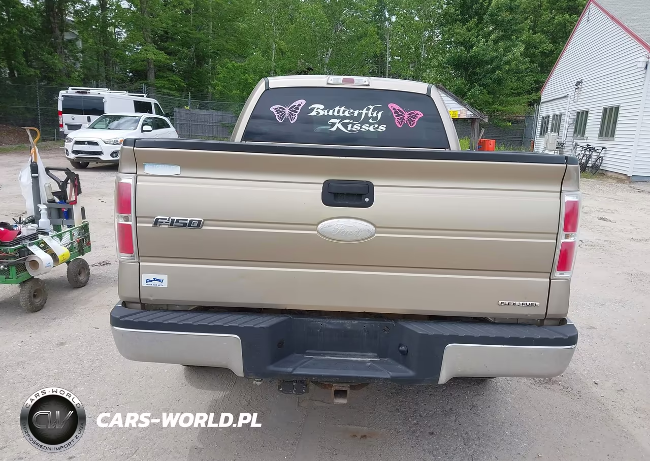 2012 Ford F-150 Xlt VIN:1FTEX1CM8CFB58612 - 16