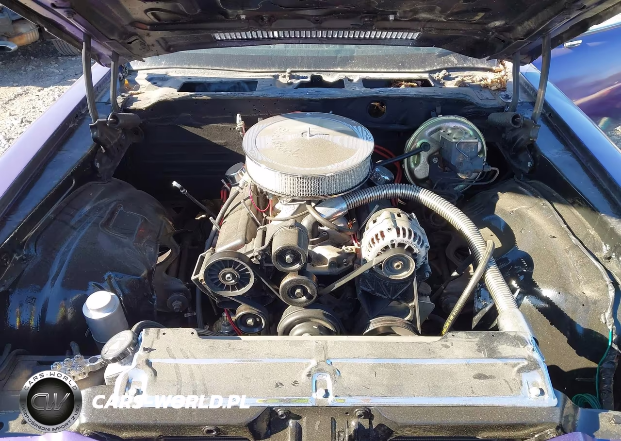 1981 Chevrolet Camaro VIN:1G1AP87J4BL181451 - 10