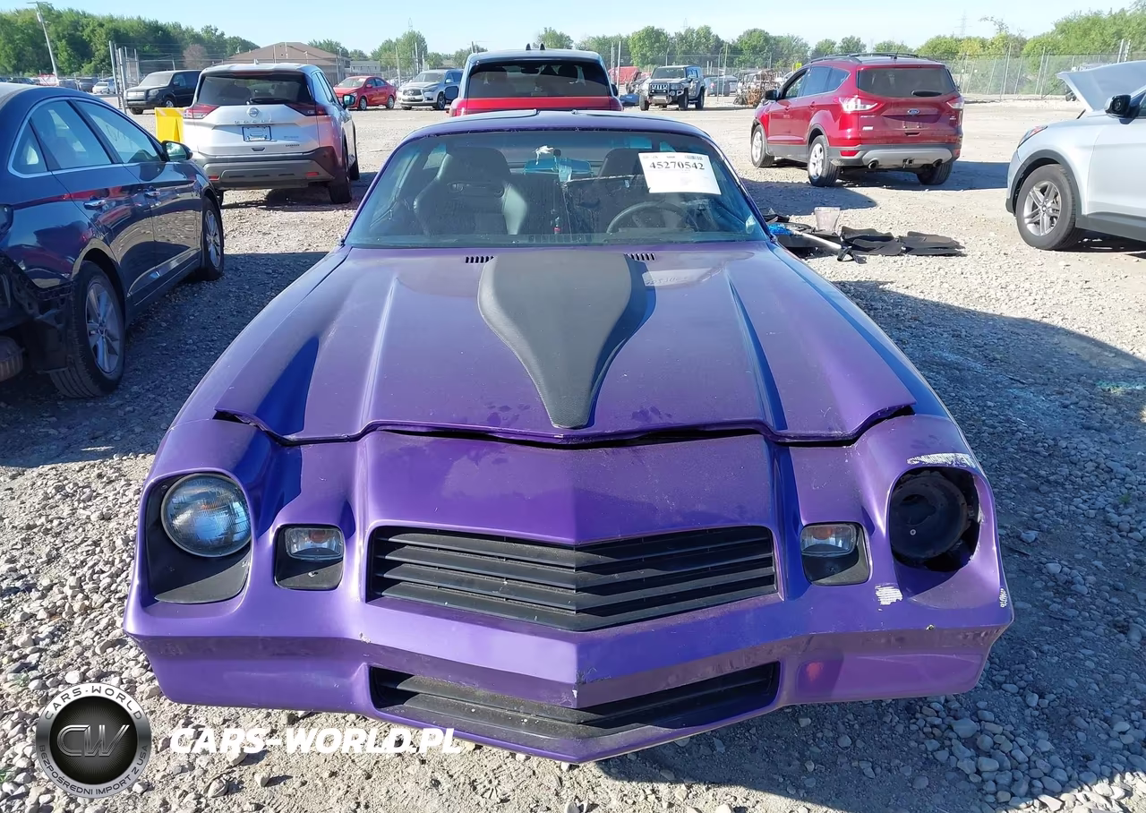 1981 Chevrolet Camaro VIN:1G1AP87J4BL181451 - 13