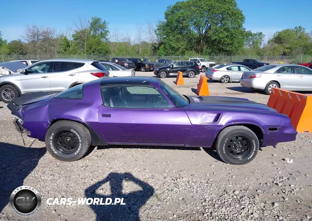 1981 Chevrolet Camaro VIN:1G1AP87J4BL181451 - 14