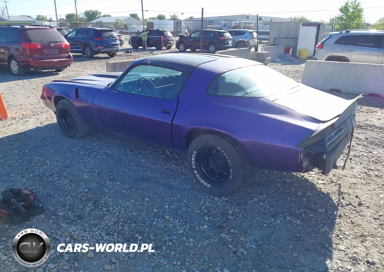 1981 Chevrolet Camaro VIN:1G1AP87J4BL181451 - 3