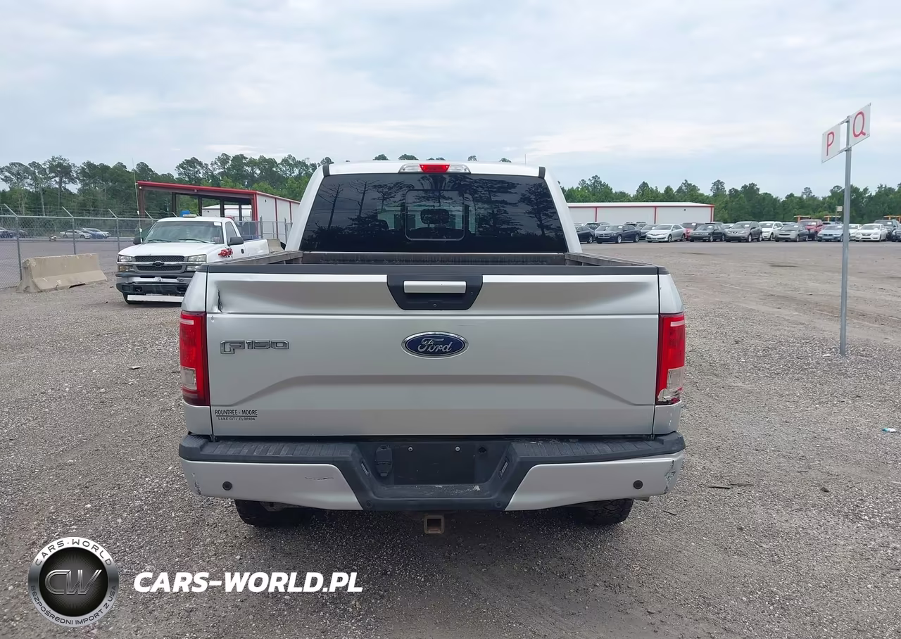 2016 Ford F-150 Xlt VIN:1FTEW1EG4GFD31221 - 16