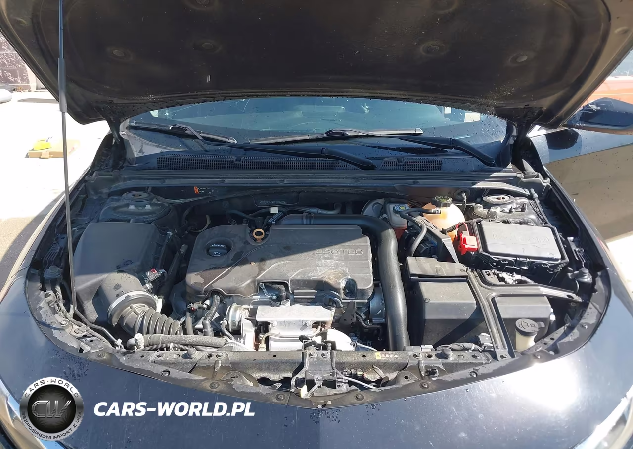 2019 Chevrolet Malibu Lt VIN:1G1ZD5ST6KF109572 - 10