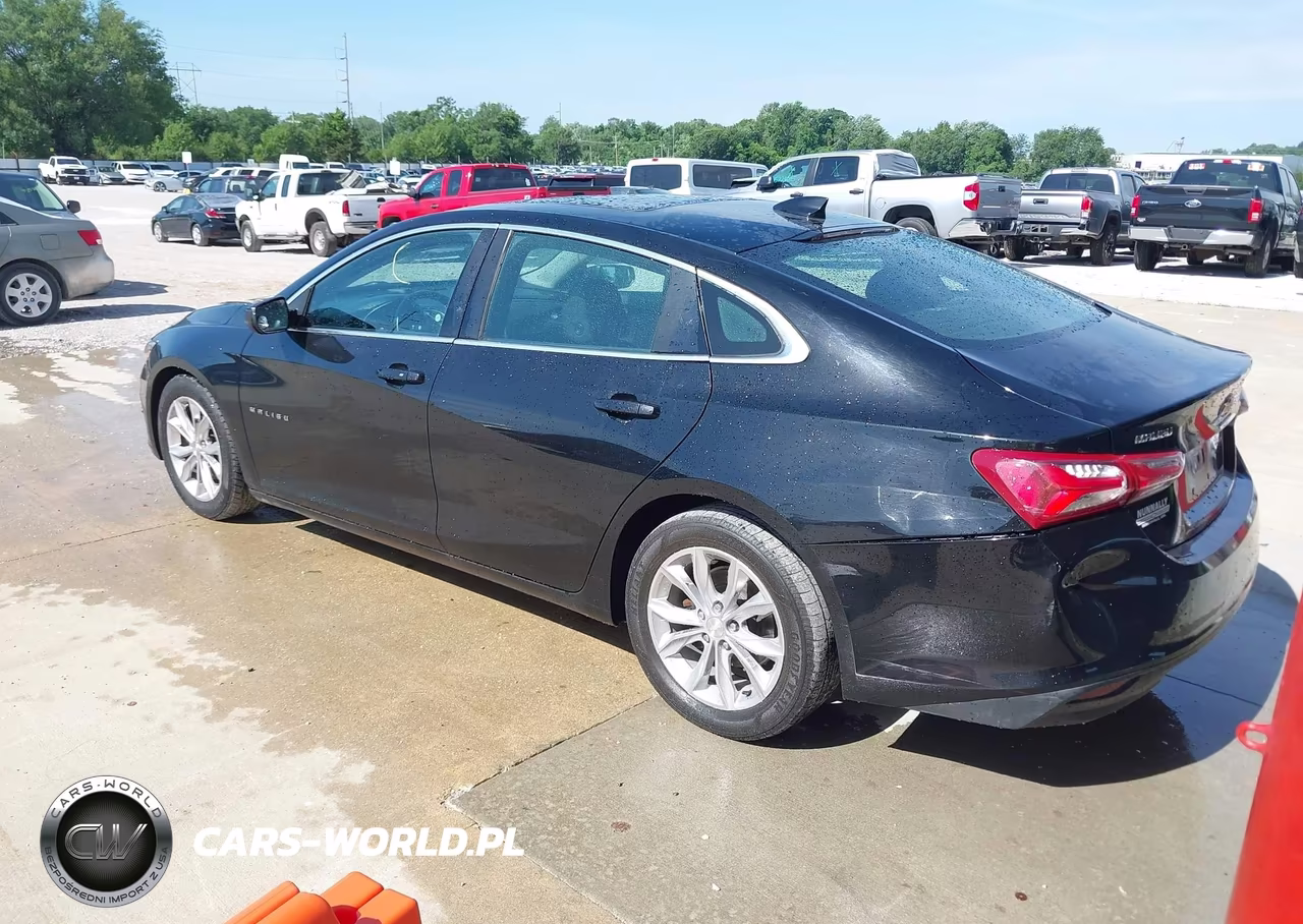 2019 Chevrolet Malibu Lt VIN:1G1ZD5ST6KF109572 - 3