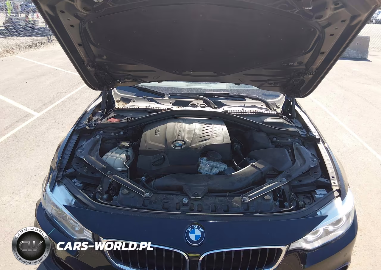 2016 BMW 435I xDrive VIN:WBA3T7C50G5A37244 - 10
