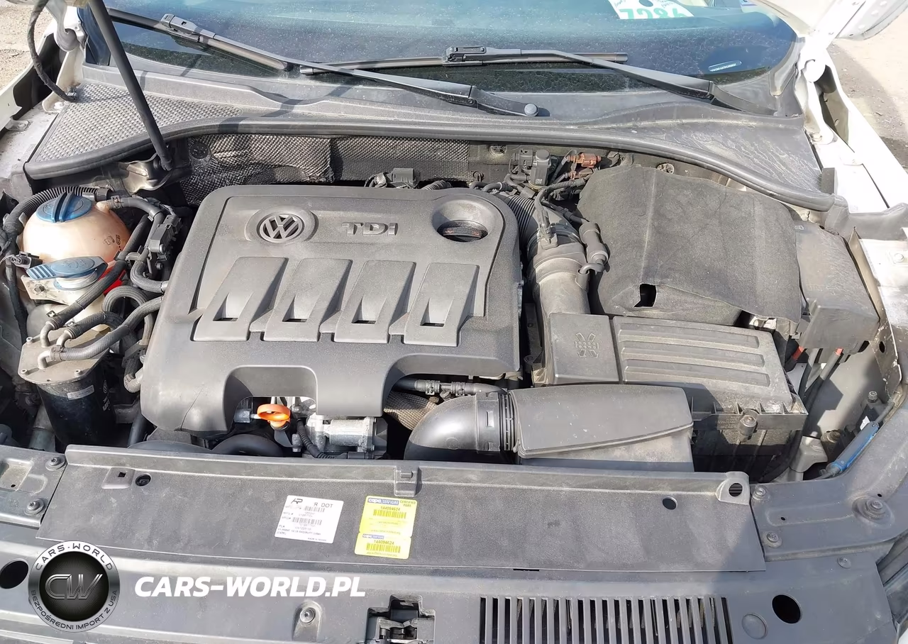 2013 Volkswagen Passat 2.0L Tdi Sel Premium VIN:1VWCN7A37DC099837 - 10