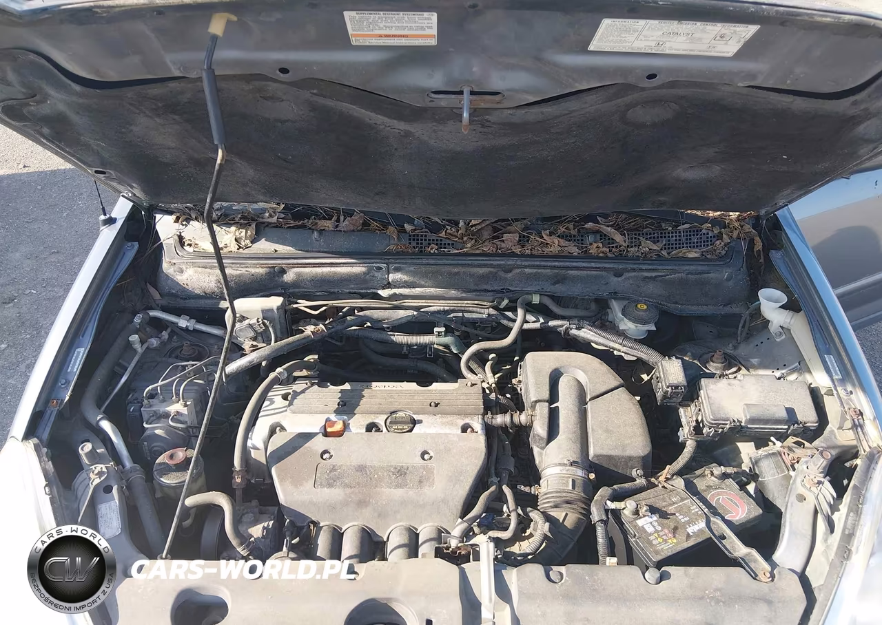 2005 Honda Cr-V Se VIN:JHLRD78985C064920 - 10