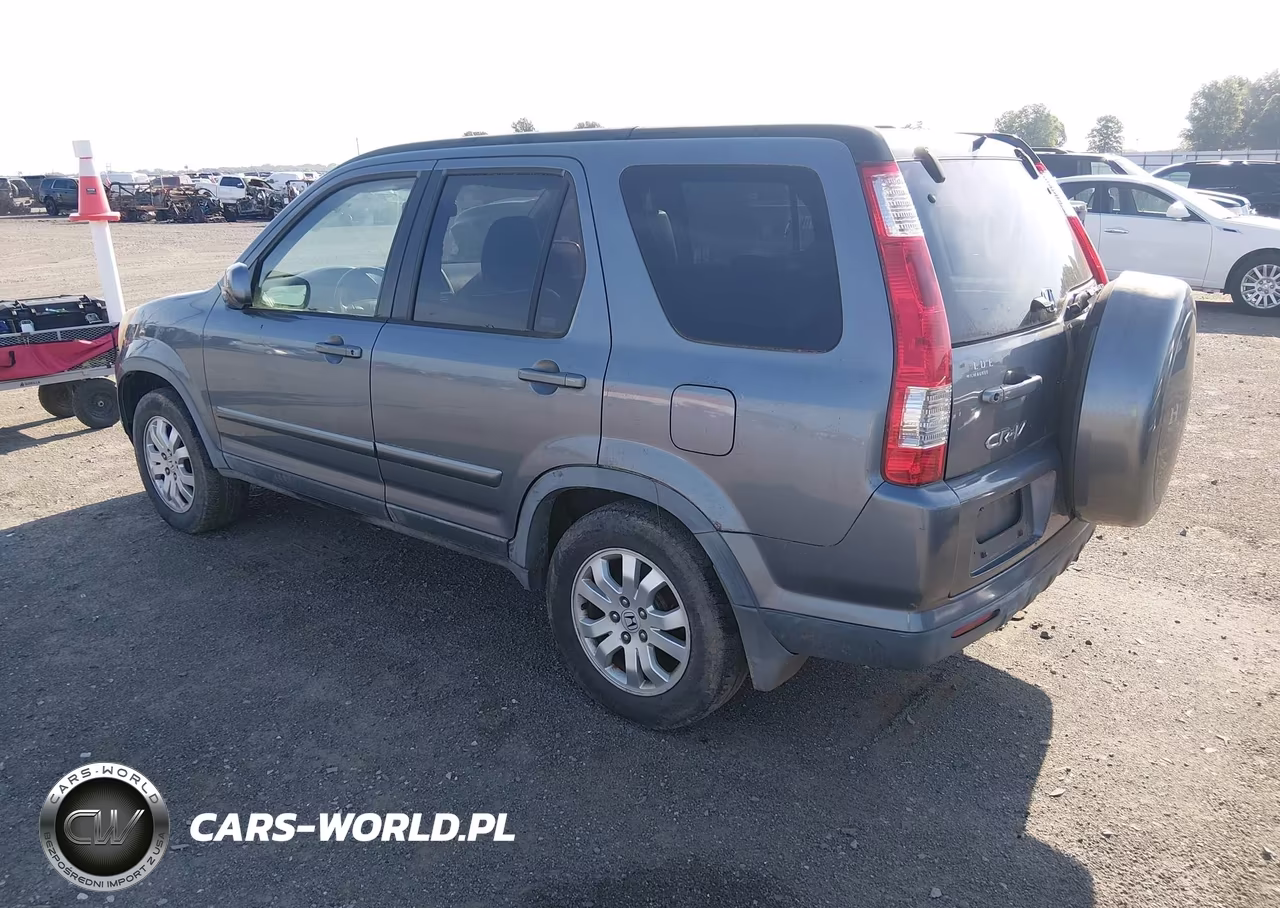 2005 Honda Cr-V Se VIN:JHLRD78985C064920 - 3