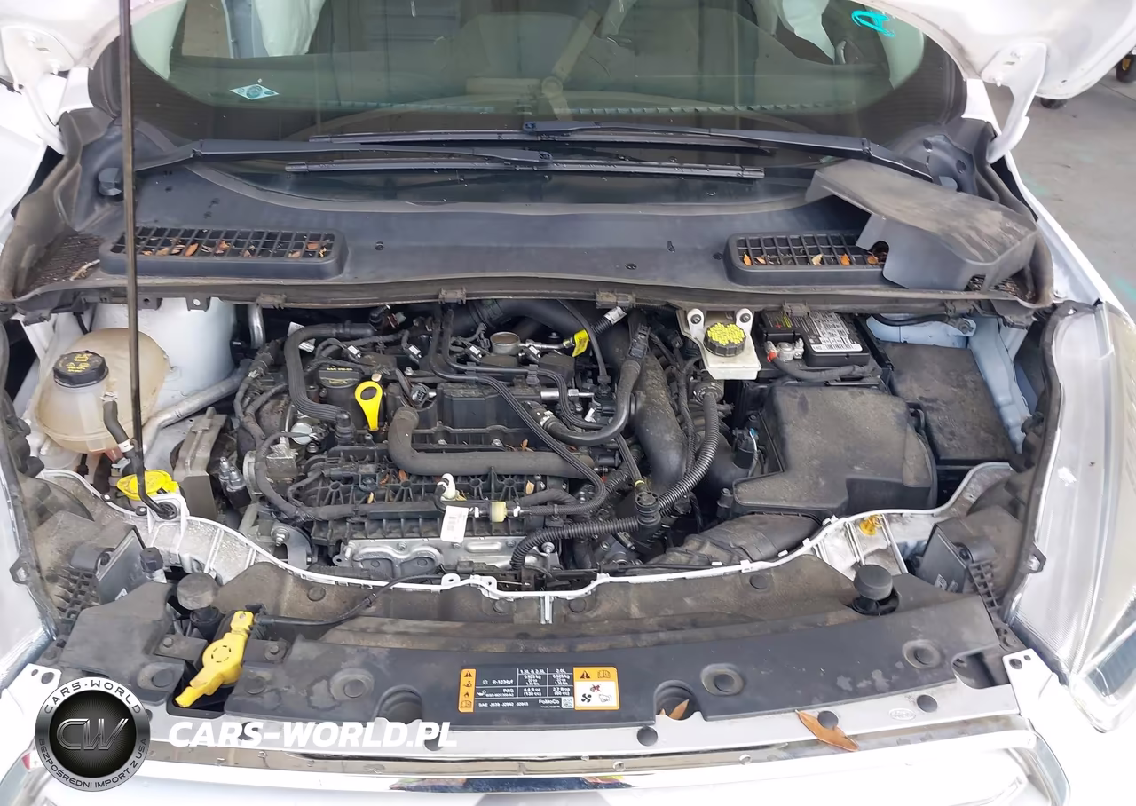 2019 Ford Escape Sel VIN:1FMCU9HDXKUA24553 - 10